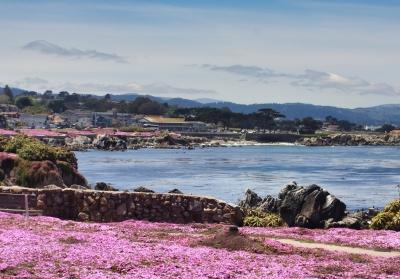 image of coastline of Pacific Grove, CA